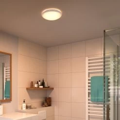 Philips Spray Bathroom Luminaire Flush To Ceiling Light